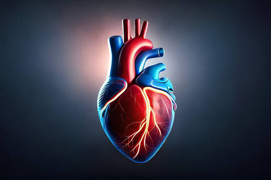Steam Sauna for Heart Health: A Natural Wellness Boost for Canadians - AURAPRO SAUNA™
