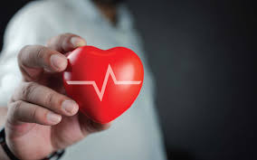 Steam Sauna for Heart Health: How AuraPro Sauna Helps Canadians Strengthen Their Most Vital Organ Naturally - AURAPRO SAUNA™