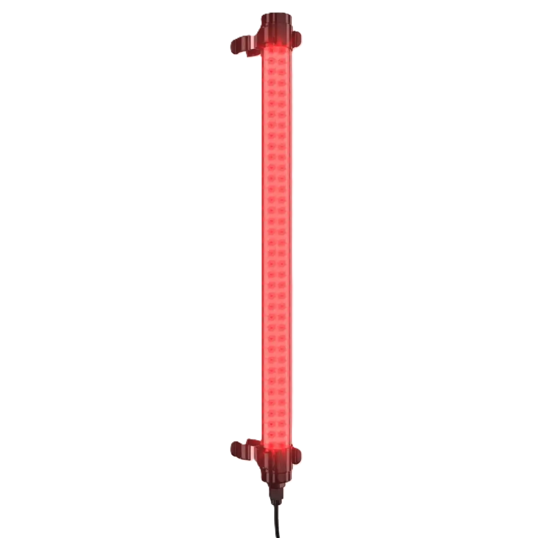 AuraPro Red Light Wand (660nm + 850nm)